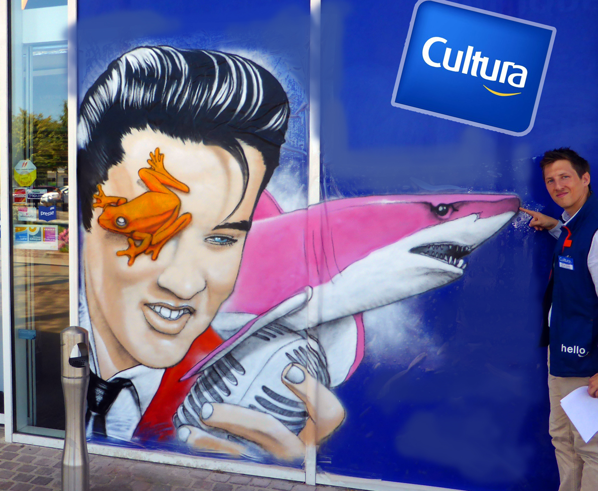 Graff d'Elvis au Cultura de Melun