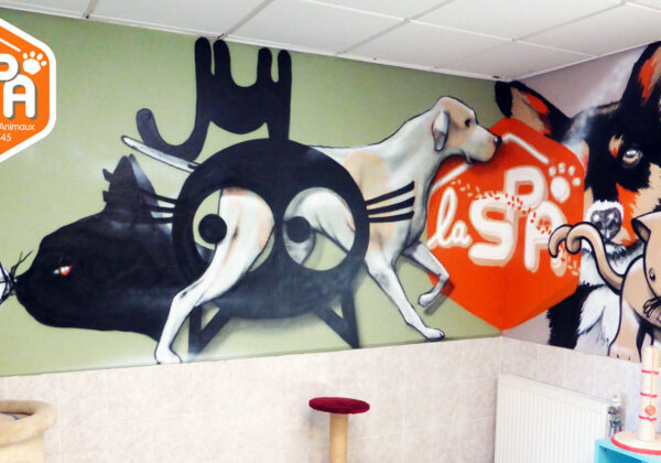 Décoration de la SPA de Montargis